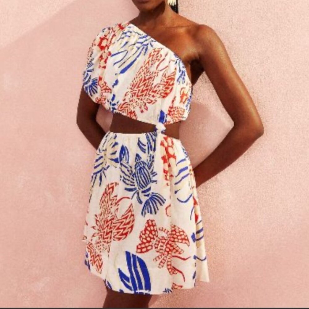 FARM Rio Cream Mini Dress with Blue and Red Floral Print